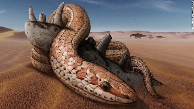 Najash rionegrina là một trong những loài rắn tiền sử có chân sau. Ảnh: CNN.