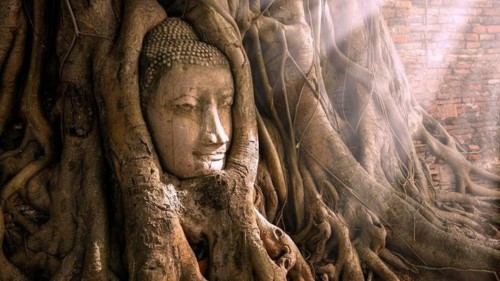 Tượng mặt Phật 700 tuổi.