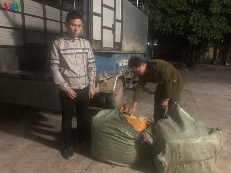 Thời gian gần đây, trên địa bàn tỉnh Quảng Ninh, lực lượng chức năng bắt giữ nhiều trường hợp vận chuyển các sản phẩm từ lợn không rõ nguồn gốc, xuất xứ.