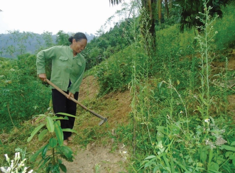 Từ việc phát triển kinh tế rừng nhiều hộ dân trên địa bàn huyện Chợ Đồn đã vươn lên thoát nghèo.
