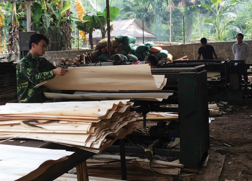 Các xưởng chế biến gỗ rừng trồng ở xã Tân Hương (Yên Bình, Yên Bái) tạo việc làm cho nhiều lao động địa phương.


