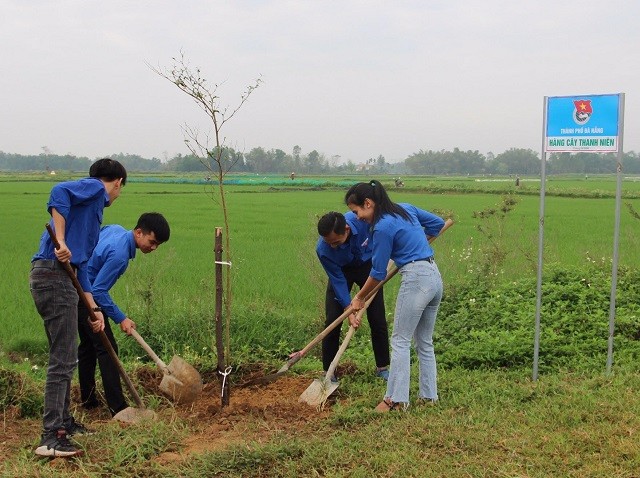 Đà Nẵng: Hàng trăm bạn trẻ hưởng ứng “Tết trồng cây”