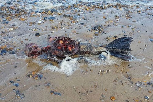 Thực hư xác “người cá” bí ẩn trôi dạt vào bờ biển Anh