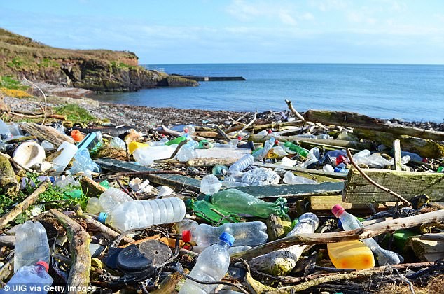 Rác thải nhựa đang là một vấn nạn của thế giới.
