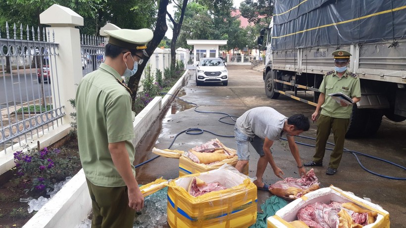 Số thịt lợn bốc mùi hôi thối được chở từ Quảng Ngãi vào Đắk Lắk tiêu thụ.