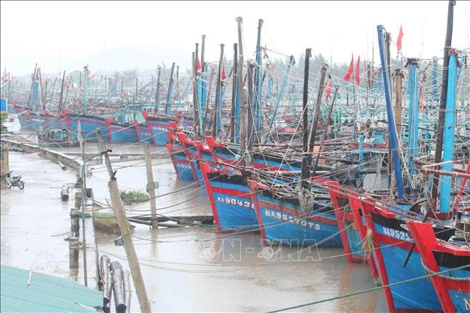 Tàu thuyền neo đậu tránh trú bão số 7 tại cảng Lạch Thơi, xã Sơn Hải, huyện Quỳnh Lưu. Ảnh: Nguyễn Oanh/TTXVN