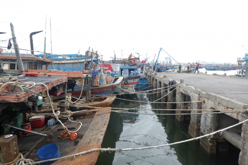 Tàu thuyền neo đậu ở Âu thuyền và Cảng cá Thọ Quang (TP Đà Nẵng). 
