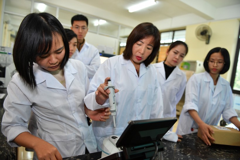 PGS.TS Trần Thị Thu Hà (đứng giữa) hướng dẫn đồng nghiệp trẻ Viện Nghiên cứu và Phát triển Lâm nghiệp. 	Ảnh: Đức Trí