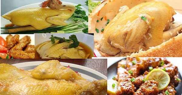 101 công thức chế biến món ngon từ thịt gà, ăn hoài không chán