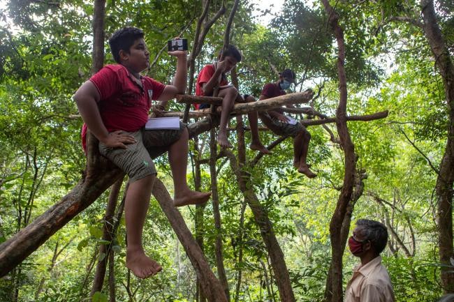Học sinh Sri Lanka phải trèo lên cây để bắt sóng internet cho lớp học trực tuyến.