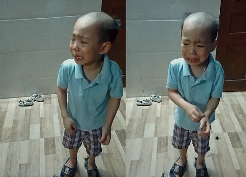 Cậu bé tự cắt tóc khiến phụ huynh cười ra nước mắt