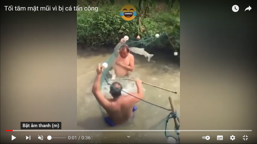 Clip: Người đàn ông đi bắt cá bất ngờ bị đàn cá "phản công"