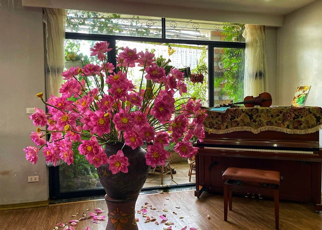 Những loài hoa vừa đẹp, vừa sang nên trồng trong nhà để “rước” may mắn