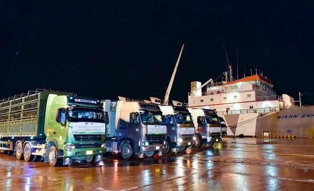 Đoàn xe 35 chiếc đón 1000 bò sữa thuần chủng HF từ cảng quốc tế Nghi Sơn (Thanh Hóa) và di chuyển về cửa khẩu Nậm Cắn ngay trong đêm.
