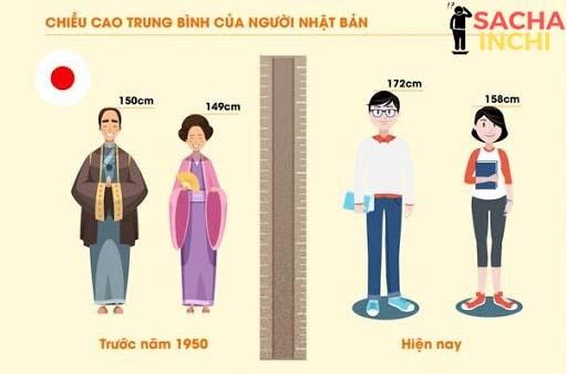 Sự thay đổi chiều cao của người Nhật.