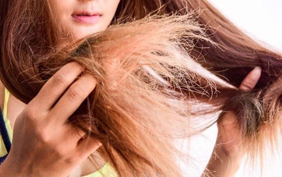 Thời tiết lạnh khô kéo dài cùng các tác động từ khói bụi, ô nhiễm và hóa chất khiến mái tóc hư tổn. Ảnh: STD.