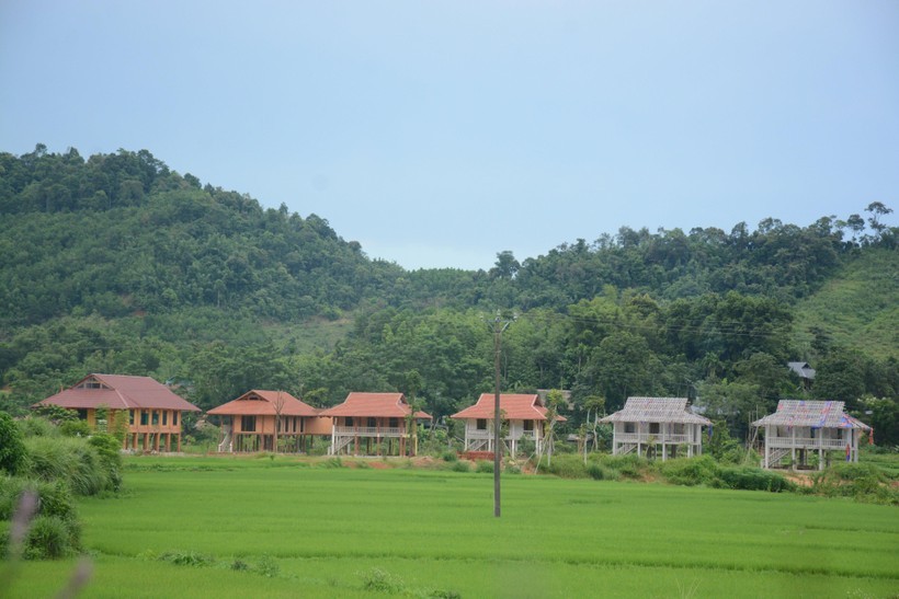 Hàng loạt nhà sàn được xây dựng trên đất nông nghiệp ở Lang Chánh.