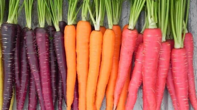Cà rốt tím - siêu thực phẩm với sức khỏe
