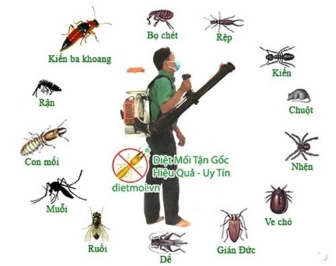 Sử dụng hóa chất diệt côn trùng ngày càng tăng tại Việt Nam