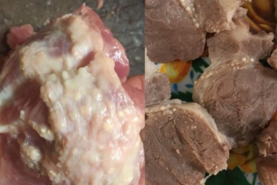 Thịt lợn nổi nhiều hạch trắng được sử dụng để chế biến thức ăn cho trẻ ở Trường Mầm non Thanh Khương (Bắc Ninh). (Ảnh: PHCC/Báo Lao động)