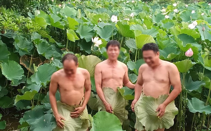 Cộng đồng mạng phẫn nộ với hình ảnh 3 người đàn ông chụp ảnh khỏa thân bên hồ sen.