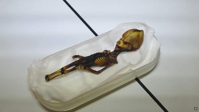 Đã có lời giải về bộ xương "người ngoài hành tinh" bí ẩn