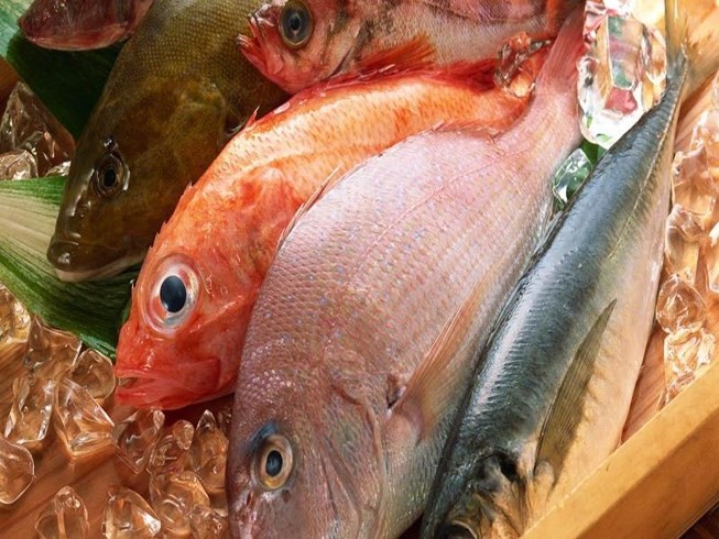 Những loại cá nào chứa ít thủy ngân được khuyên dùng?