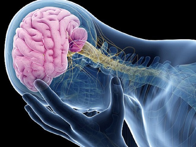 Người đàn ông Trung Quốc thường xuyên nhức đầu và co giật do có con giun sống trong não. Ảnh minh họa: Shutterstock.