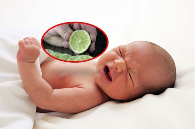 Khi vắt chanh vào miệng bé, đặc biệt những bé sơ sinh, con có thể bị tím tái do đóng nắp thanh môn, do hít sặc nước cốt chanh vào phổi và gây viêm phổi.