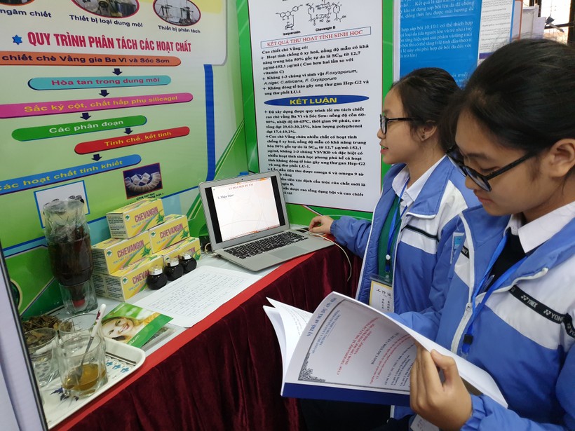 Dự án Nghiên cứu tách chiết các hoạt chất từ cây chè vằng của nhóm học sinh trường THCS Hồng Bàng (quận Hồng Bàng)