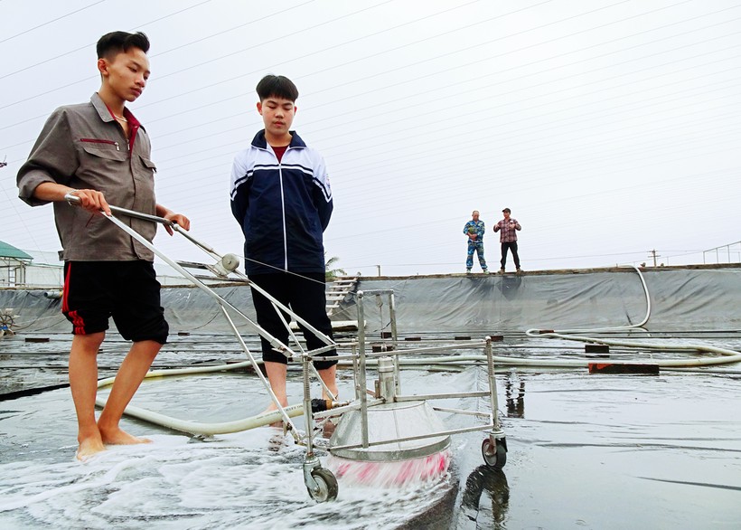 Dự án "Máy làm sạch bề mặt bạt đáy ao nuôi tôm" của hai em học sinh Ngô Anh Tài và Nguyễn Đức Hoàn