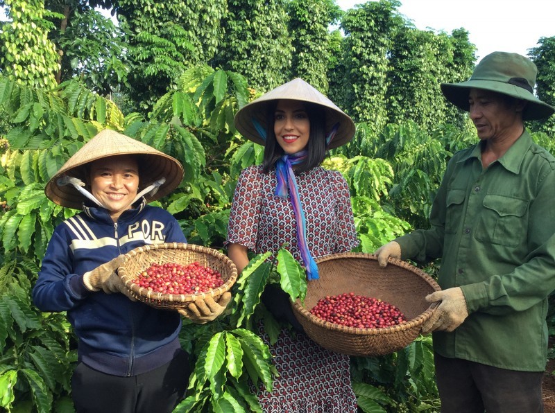 Nữ phát thanh viên đài MBC tự hào với thành quả hái quả cà phê chín dưới sự hướng dẫn của chị Nguyễn Thị Huệ, nông dân Đắk Lắk, tham gia dự án NESCAFÉ Plan từ năm 2012